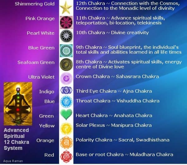 12 Chakra System