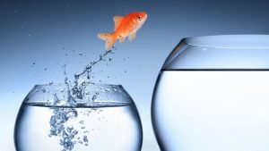 Blog 10 Embrace a New Paradigm of Reality