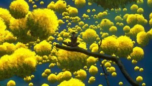 Blog 16 stay grounded
