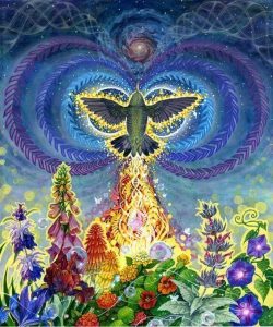 Blog 29 Ascension Symptoms: