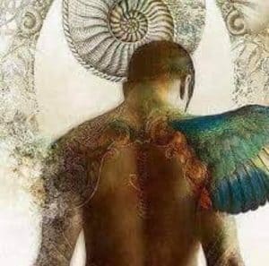 Blog 30 HIGHER MASCULINE REVOLUTION