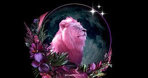 A Leo New Moon of Courage and Creativity