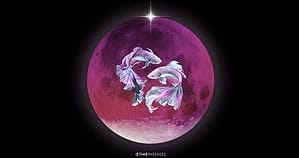 Blog 22 A Pisces Full Moon Eclipse of Idealism, Possibility, and Contraction