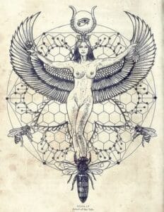 Blog 12 Traumatized Women Have The Potential