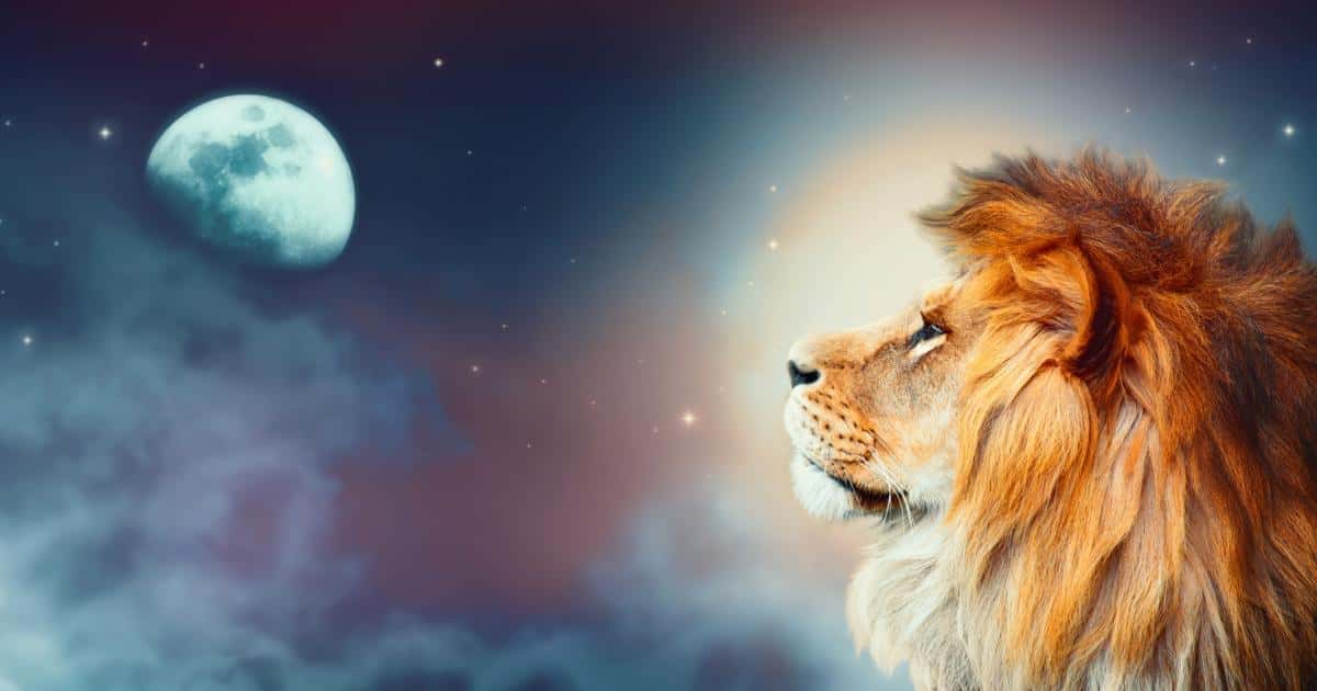 Lions Gate: Energy Update