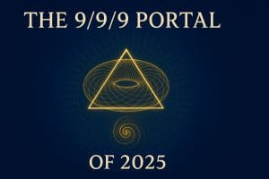 Blog 11 9/9 Portal